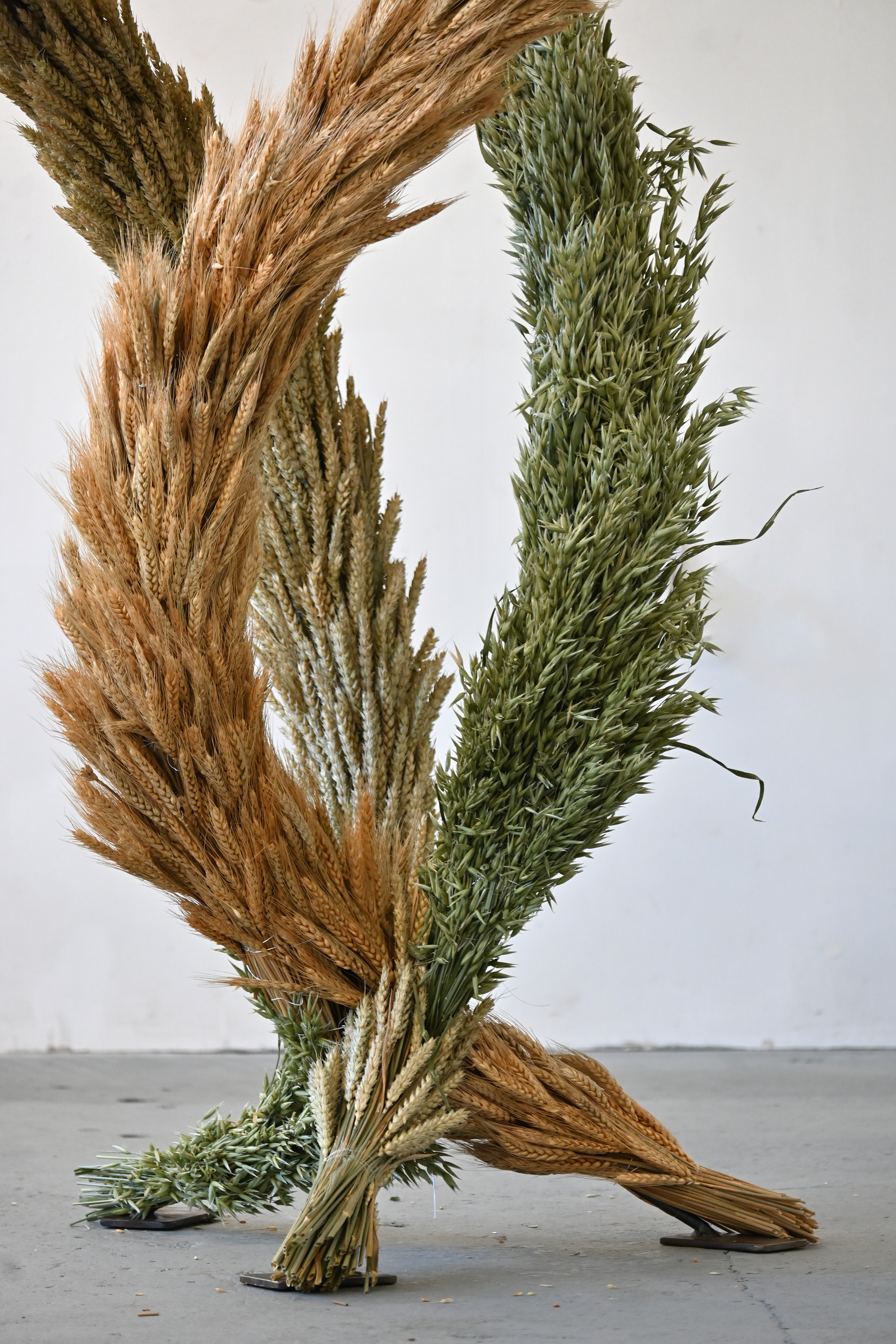 Close up of a sculpture made from three garlands of wheat (brown, yellow, and green) swirling around each other and joining at the top.