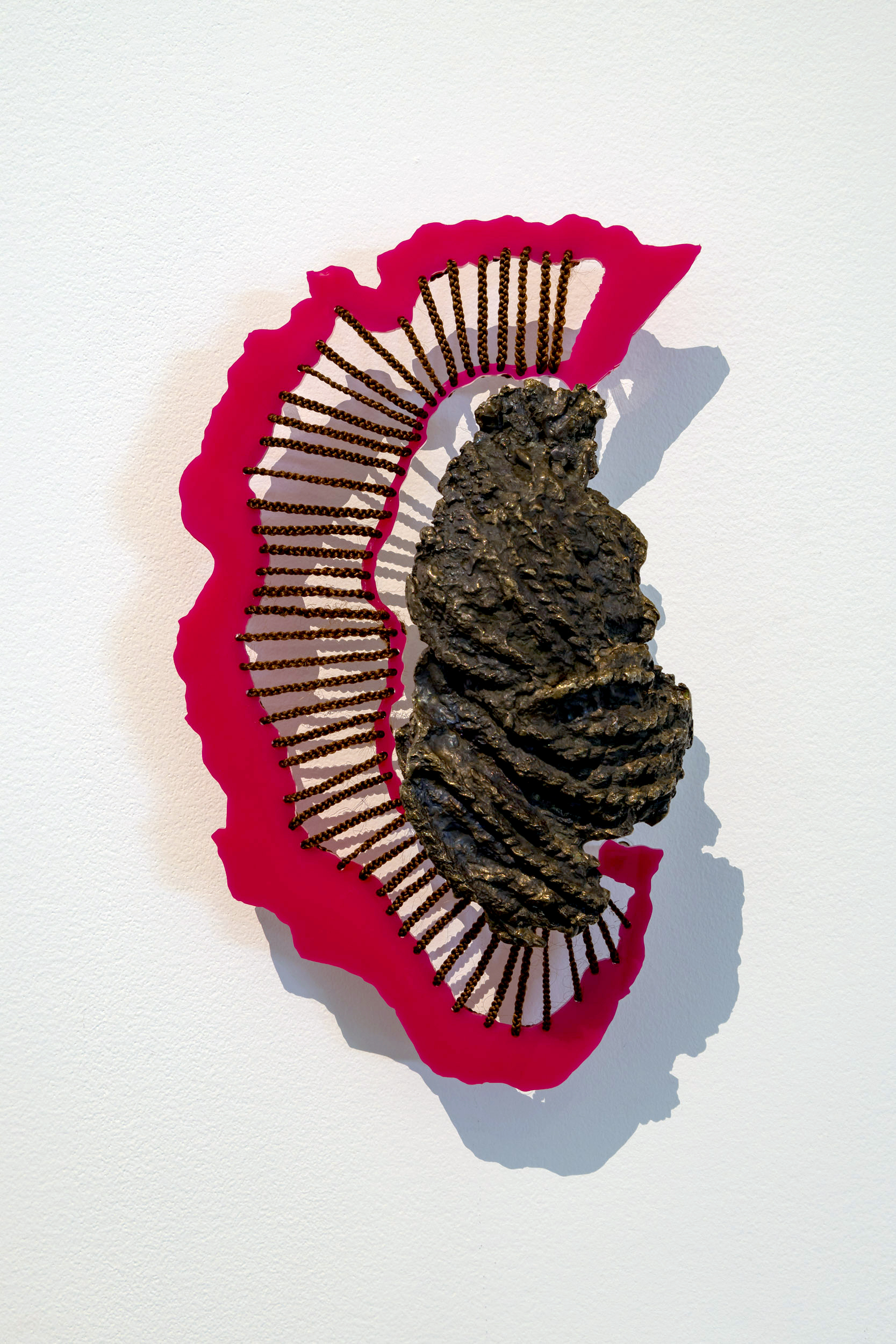 Wall mounted sculpture by Kedisha Coakley, a bronze casting of braided hair connected to a pink perspex element which looks like a shoreline, by strands of braided hair.